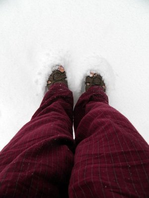 snowtoes.jpg