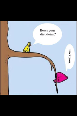 dietbirds.png