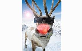 Rudolph hates UV rays.jpg